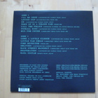 OBLIVIANS - DESPERATION  lp - pikkukuva 2