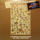 MYCOLOGIA - ASSORTED MUSHROOMS OF NEW ENGLAND - UUSI LP - pikkukuva 1