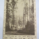 VANHA Postikortti Lohja Vaanila numeroleima 29..? 1915 - pikkukuva 1