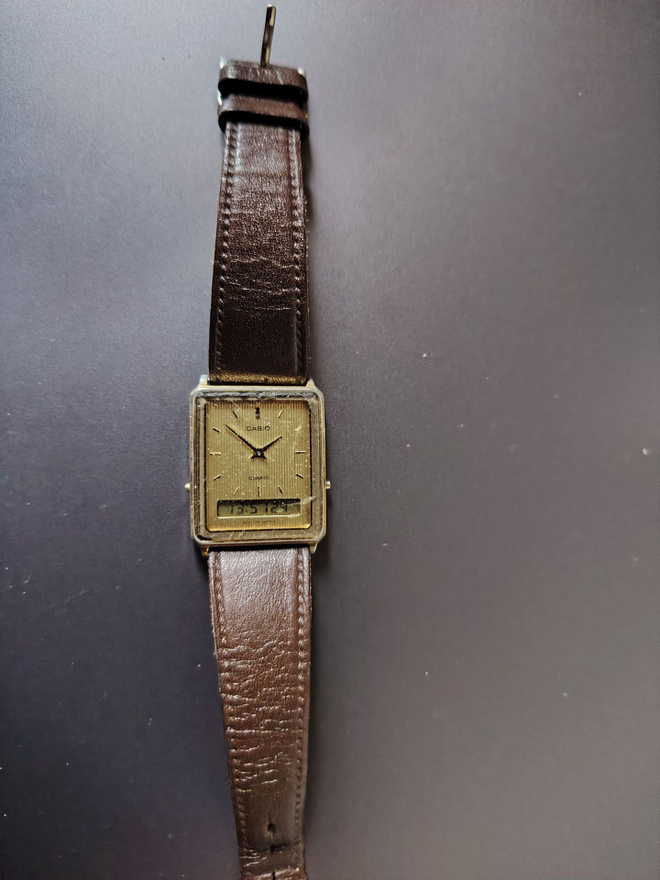 Casio anadigi