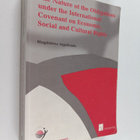 M. Magdalena Sepulveda : The nature of the obligations un... - pikkukuva 1