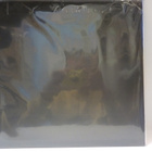 REVENGE - VICTORY INTOLERANCE MASTERY US 2008 EX/M- LP - pikkukuva 2