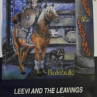 LEEVI AND THE LEAVINGS Bulebule Promojuliste. HIENO ! - pikkukuva 2