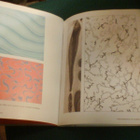 Medeiros: MARBLING TECHNIQUES (marmorointi tekniikat) Sis.pk - pikkukuva 5