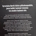 Karin Slaughter: Särkyneet Enkelit UUSI! - pikkukuva 2