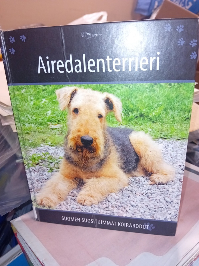 Suomen suosituimmat koirarodut AIREDALENTERRIERI