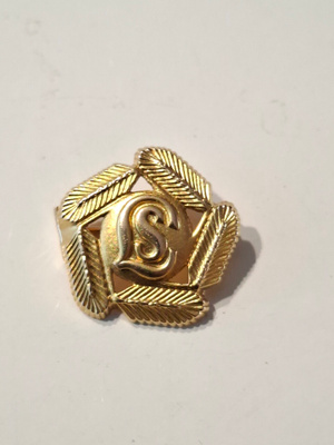Lotta Svärd rintamerkki nro 3460, 585 kulta