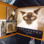 Jim Dratfield : CATGRAPHY BOX ( SIS POSTIKULU ] - pikkukuva 3