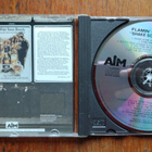 Flamin' Groovies: Shake Some Action - pikkukuva 3