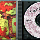 DON HUONOT . CD-LEVY . KAMELEONTTI - pikkukuva 2