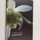 Lohdun sanoja suruun - pikkukuva 1