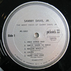 The Many Faces Of Sammy Davis, Jr - pikkukuva 3