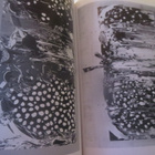 Japan Art Today - Elusive Perspectives - pikkukuva 5