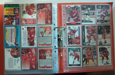 Detroit Red Wings 243 kpl