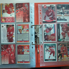 Detroit Red Wings 243 kpl - pikkukuva 1