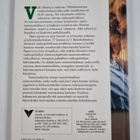 Marja Vaarama : Hyvään vanhuuteen 1990- ja 2000-luvuilla ... - pikkukuva 2