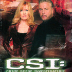 CSI :  Las Vegas  -  Kausi 6  -  (6 DVD) - pikkukuva 1