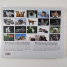 Reuss Editions : Cats to Love - pikkukuva 2