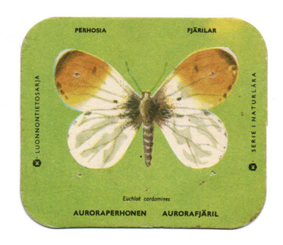 Kahvilappu AURORAPERHONEN