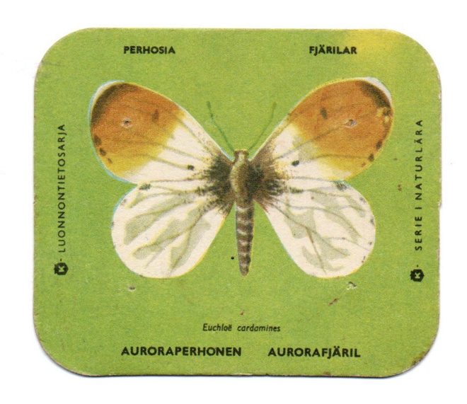 Kahvilappu AURORAPERHONEN