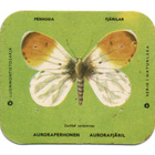 Kahvilappu AURORAPERHONEN - pikkukuva 1