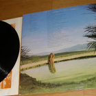 Shawn Phillips - Do you wonder - LP - pikkukuva 2
