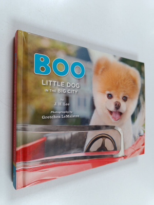J.H. Lee : Boo : Little Dog in the Big City