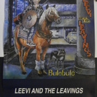 LEEVI AND THE LEAVINGS Bulebule Promojuliste. HIENO ! - pikkukuva 1