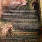 Tyttö Ja Kettu - Pingviinien matka - pikkukuva 4