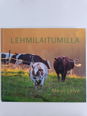 Mauri Leivo : Lehmilaitumilla