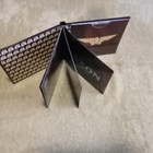 SAXON - Destiny Digibook-CD - pikkukuva 2