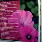 GOSPELKUORO - PISARA :: SYDÄMEMME LAULAA :: CD ALBUM - pikkukuva 2