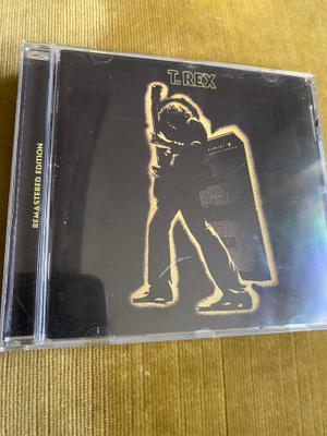 T.Rex: Electric warrior