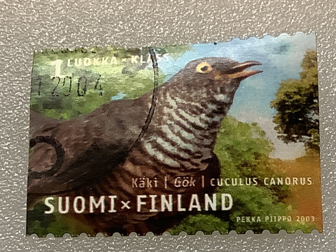 1630/ 2003 Käki o leimattu loisto