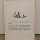 Lewis Carroll - Liisan seikkailut ihmemaassa - pikkukuva 2