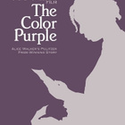 The Color Purple - DVD - pikkukuva 1