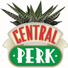 FRIENDS CENTRAL PERK PLANT POT (7 535) kasviruukkun. 10cm x - pikkukuva 2