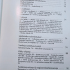 Posliininmaalaus harrastuksena 1.p (sid.) - pikkukuva 3