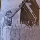 KIRJA Lehti Hakaristi ajan Saksa 25x17cm 1941 - pikkukuva 4