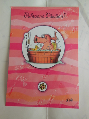 Puhtaana päivään!