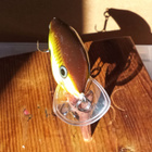 Rapala Scatter Rap 05 - pikkukuva 3