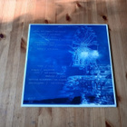 Sad Circles, Slice, Swellheads – Pet Moped lp 1993 - pikkukuva 2