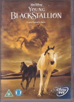 Young Black Stallion  -  DVD
