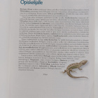 Biologia : kurssi 1: Eliömaailma ; kurssi 2: Solu ja peri... - pikkukuva 4