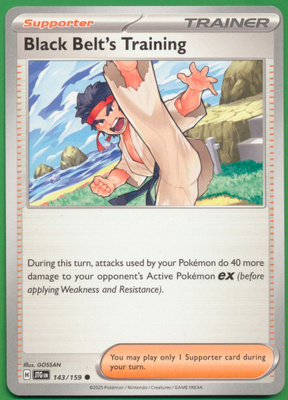 Pokémon Black Belt's Training