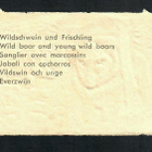 ALE - EAS 3102 - Nelkku - Villisika - 1950-luvulta! - pikkukuva 2