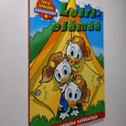 Walt Disney : Leirielämää - pikkukuva 1