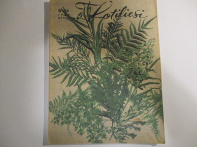 KOTILIESI 11 1945