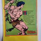Edgar Rice Burroughs : Tarzan : aarrelaivan kirous : suur... - pikkukuva 2