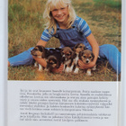 Astrid Bergman Sucksdorff : Saaran koiranpentu - pikkukuva 2